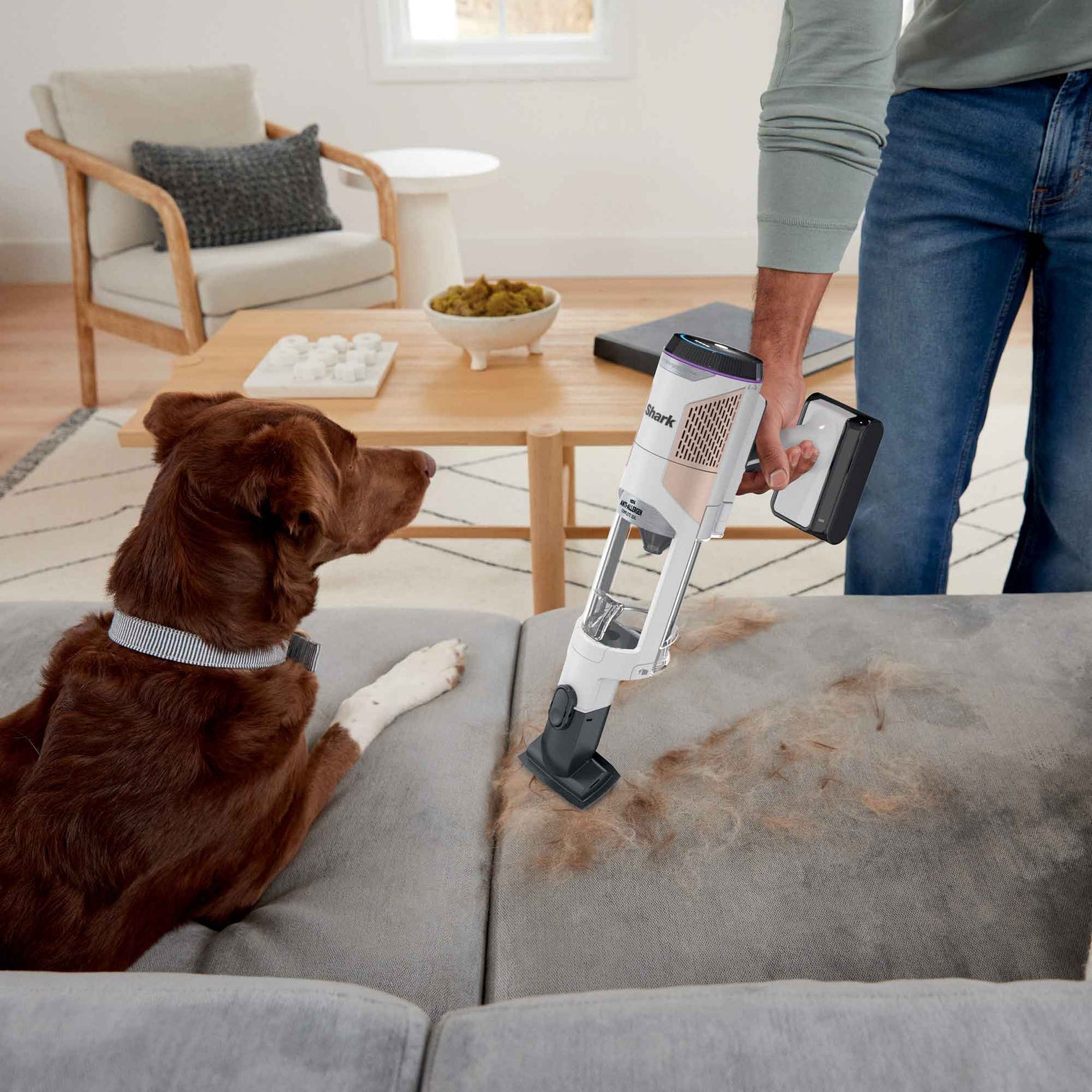 Pet Vacuums