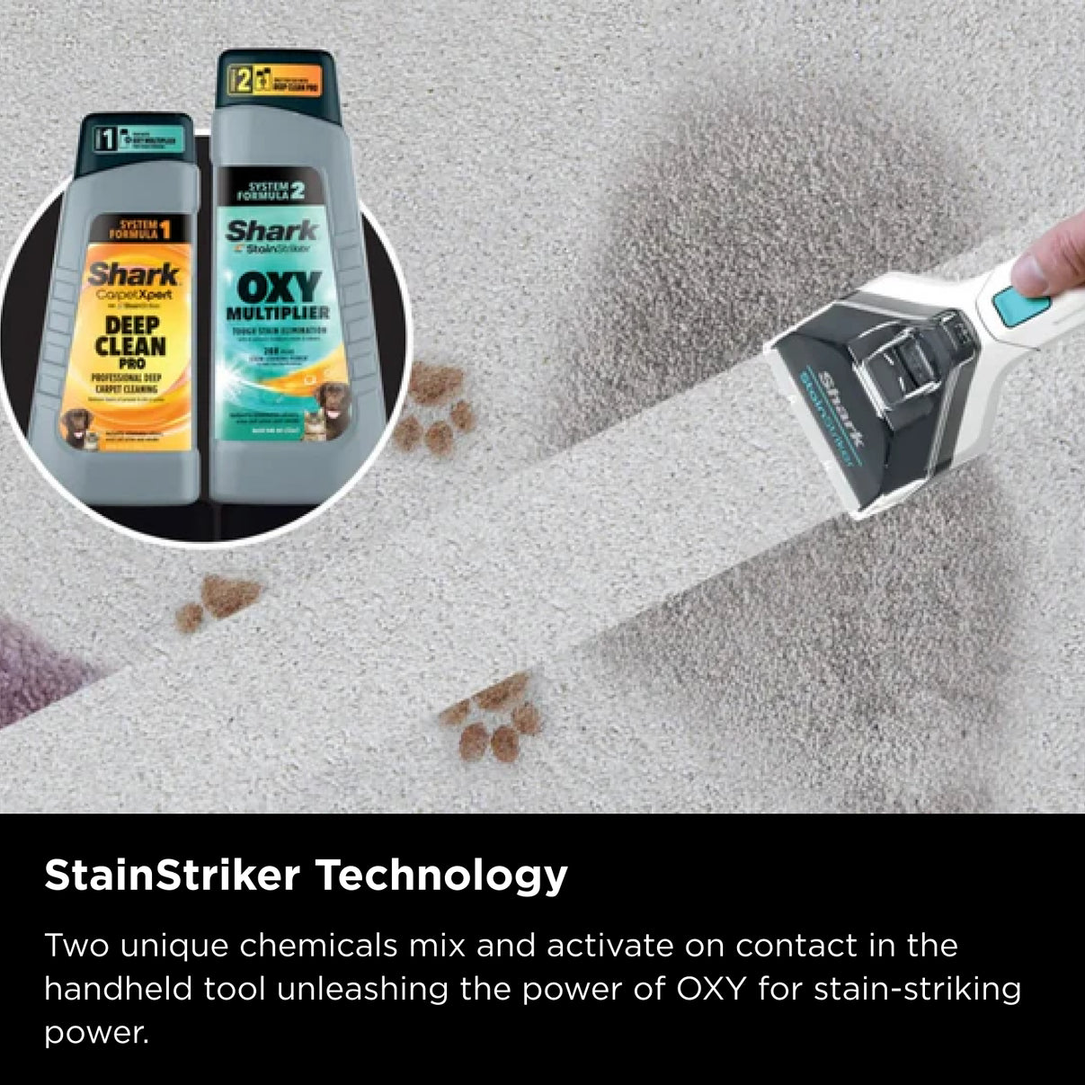 Shark CarpetXpert Deep Carpet Cleaner with Built-In StainStriker