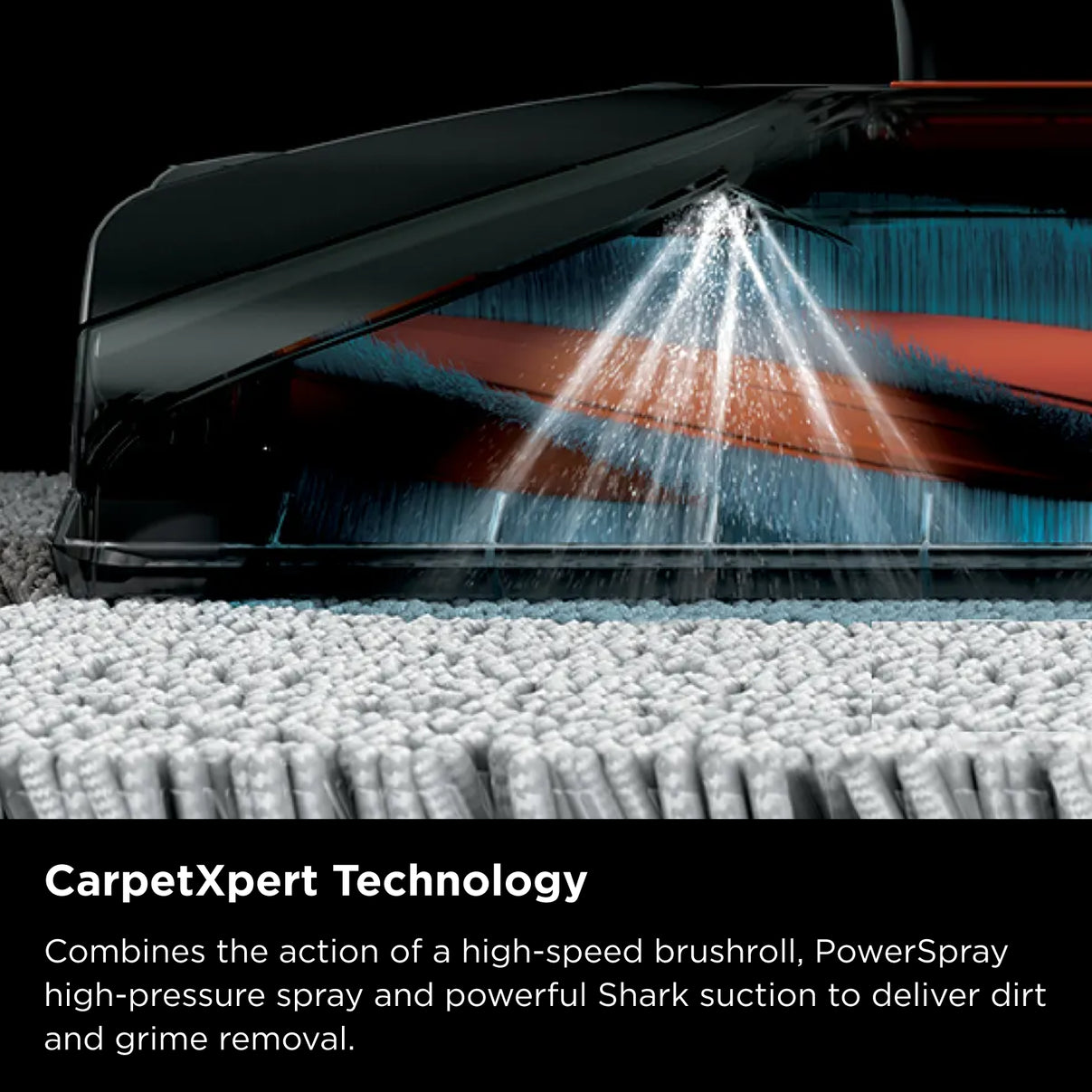 Shark CarpetXpert Deep Carpet Cleaner with Built-In StainStriker