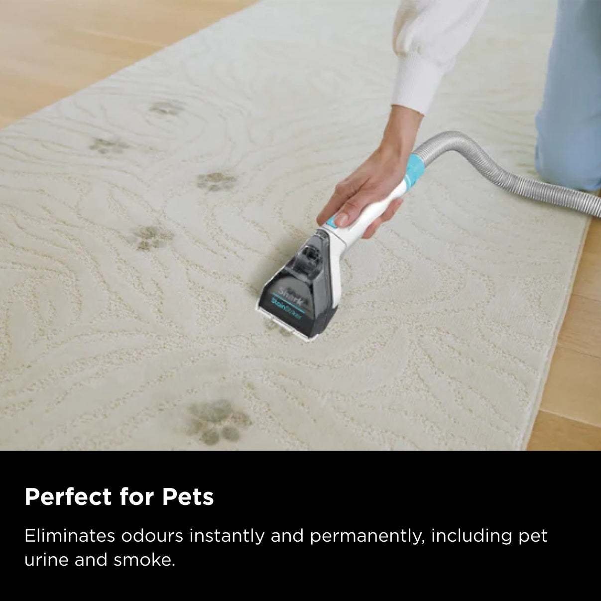 Shark CarpetXpert Deep Carpet Cleaner with Built-In StainStriker