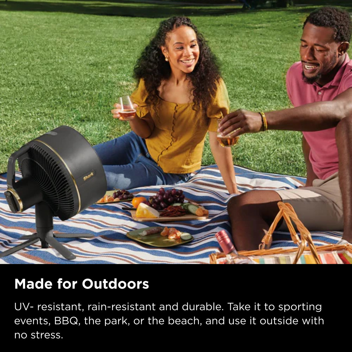 Shark FlexBreeze Fan