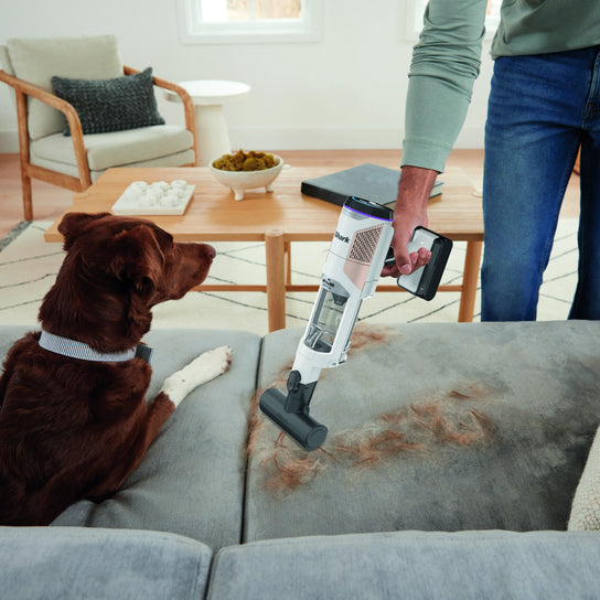 Shark Cordless Detect Pro