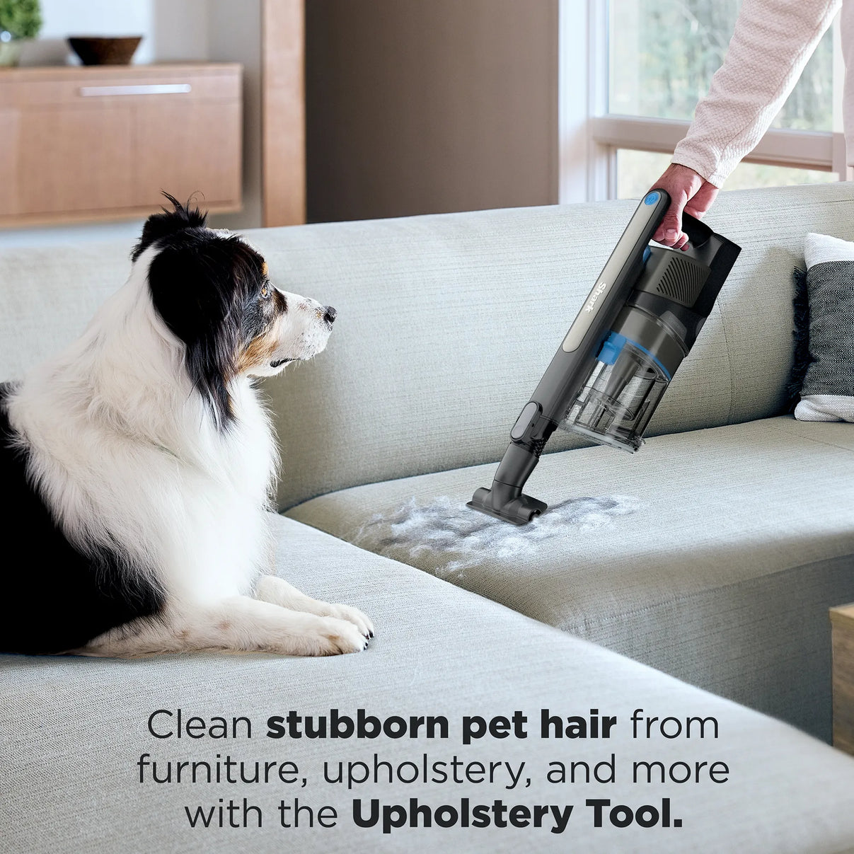 colour_Charcoal Java