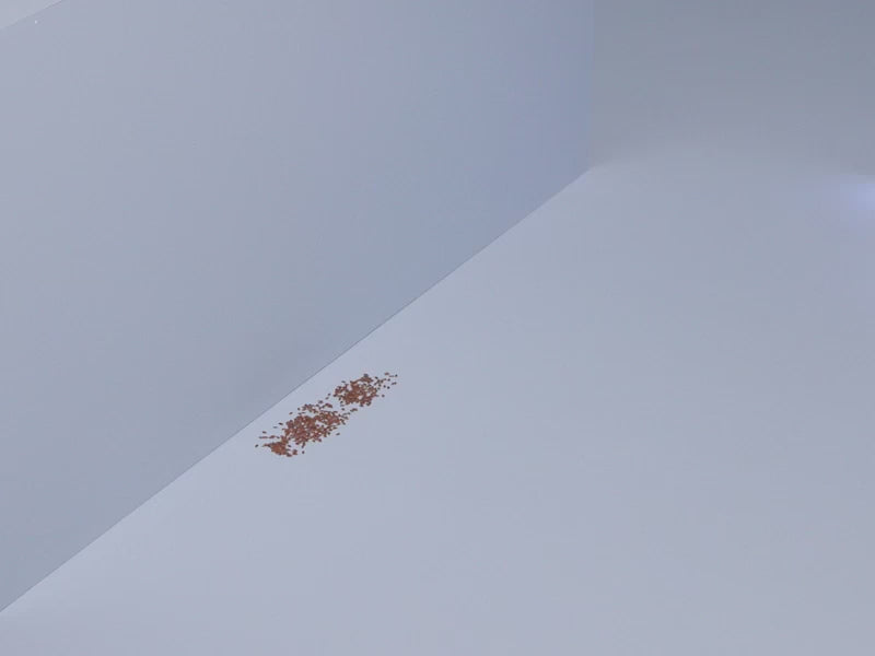 Shark Cordless PowerDetect Clean & Empty System