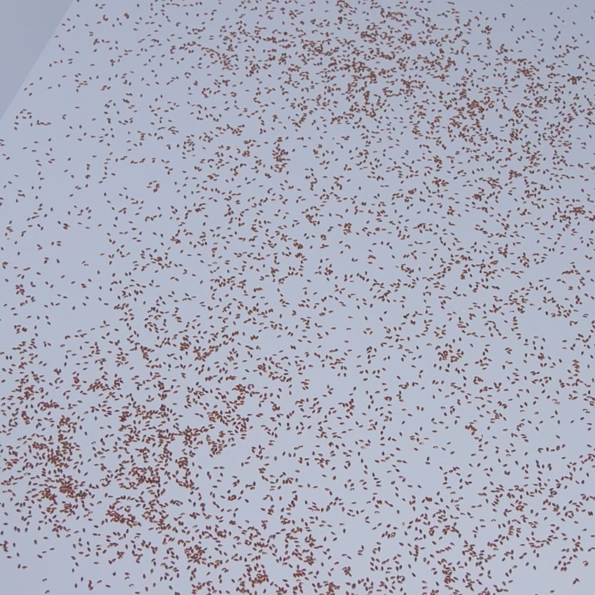 Shark Cordless PowerDetect Clean & Empty System