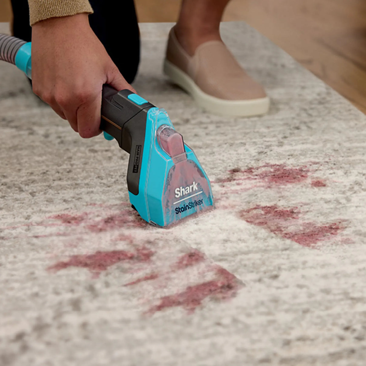 Shark StainStriker HairPro Pet Portable Spot & Stain Cleaner